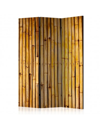 PARAVENT MUR DE BAMBOUS 3 - 5