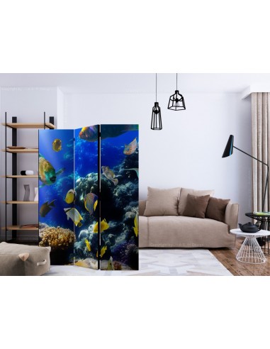 PARAVENT POISSON EXOTIQUE / 3 - 5