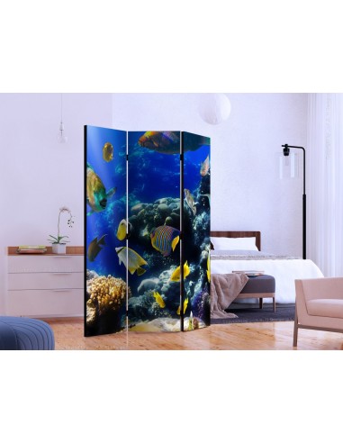 PARAVENT POISSON EXOTIQUE / 3 - 5