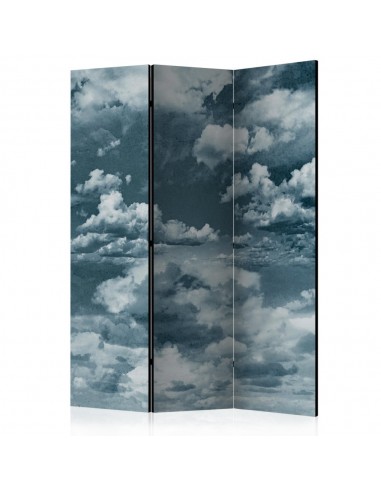 PARAVENT DANS LES NUAGES / 3 - 5