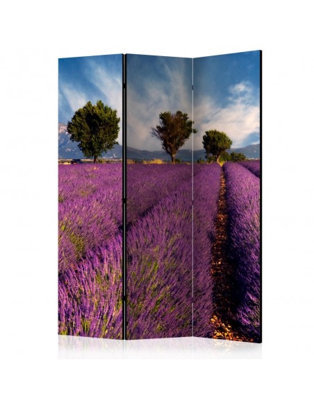 PARAVENT LA PROVENCE / 3 - 5