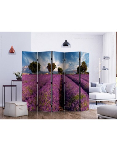 PARAVENT LA PROVENCE / 3 - 5