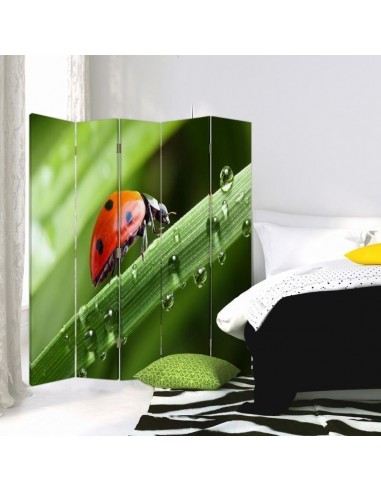 PARAVENT COCCINELLE / 3 - 4 - 5