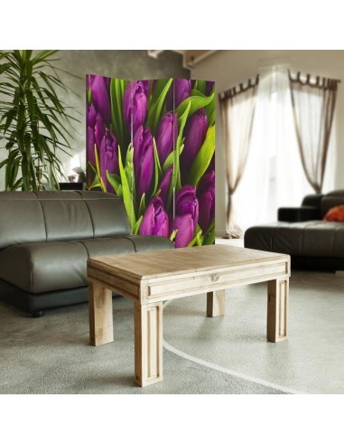 PARAVENT TULIPES / 3 - 4 - 5