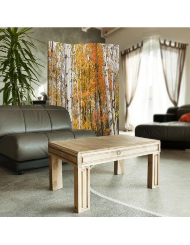 PARAVENT AUTOMNE / 3 - 4 - 5