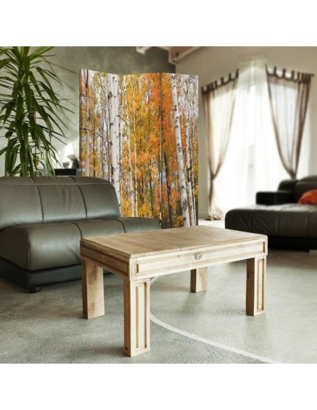 PARAVENT AUTOMNE / 3 - 4 - 5