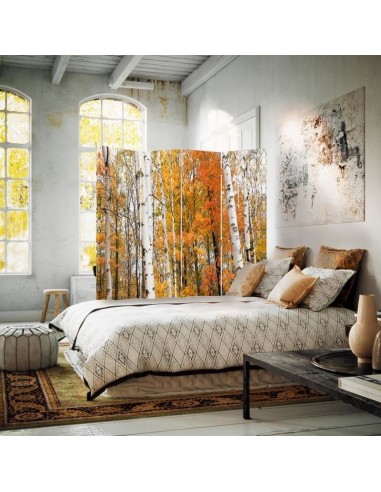 PARAVENT AUTOMNE / 3 - 4 - 5