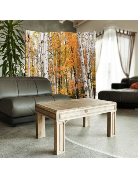 PARAVENT AUTOMNE / 3 - 4 - 5