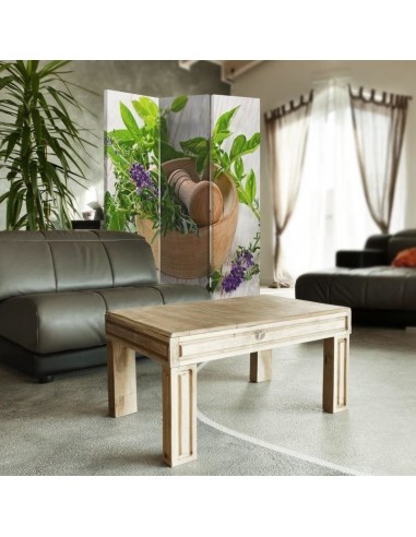 PARAVENT HERBE AROMATIQUE / 3 - 4 - 5