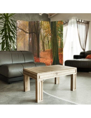 PARAVENT TAPIS DE FEUILLES / 3 - 4 - 5
