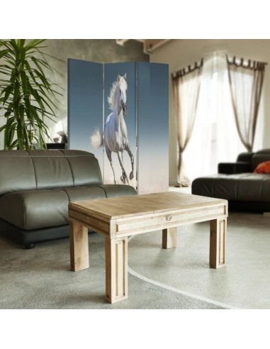 PARAVENT CHEVAL BLANC / 3 - 4 - 5