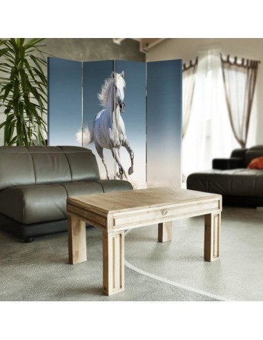 PARAVENT CHEVAL BLANC / 3 - 4 - 5