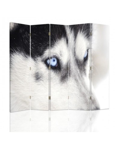 PARAVENT HUSKY / 3 - 4 - 5