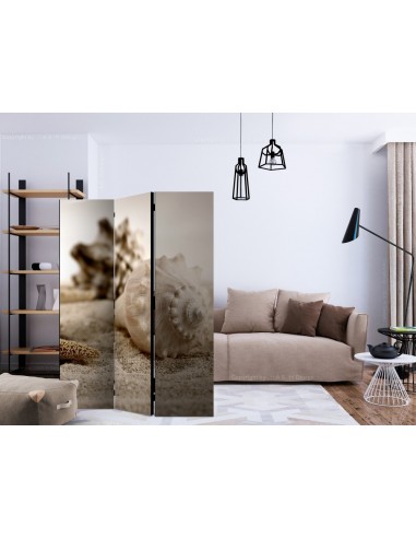 PARAVENT COQUILLAGES / 3 - 5