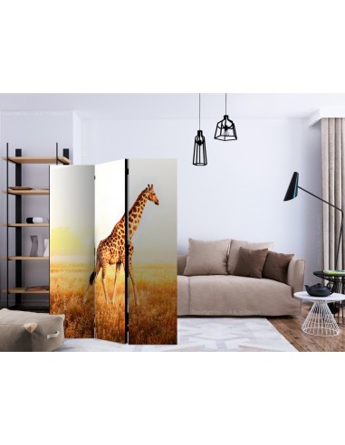 PARAVENT GIRAFE / 3 - 5