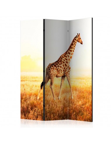 PARAVENT GIRAFE / 3 - 5