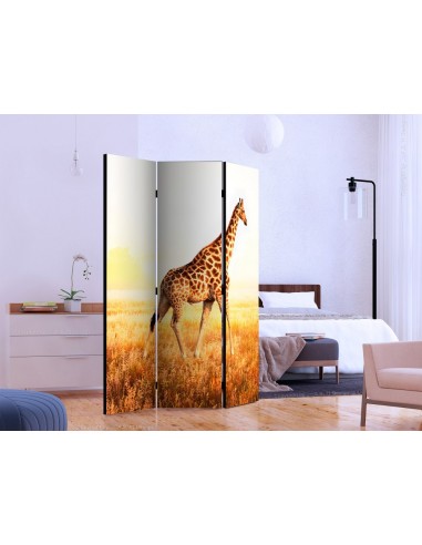 PARAVENT GIRAFE / 3 - 5
