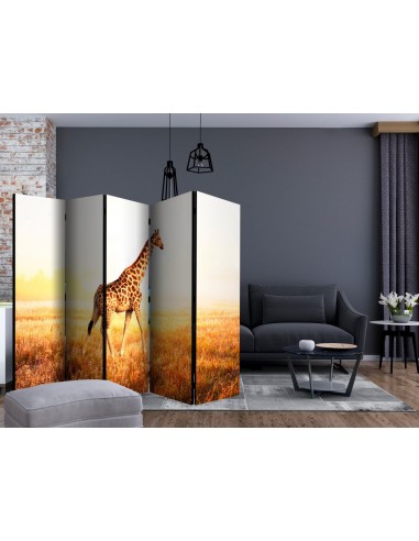PARAVENT GIRAFE / 3 - 5