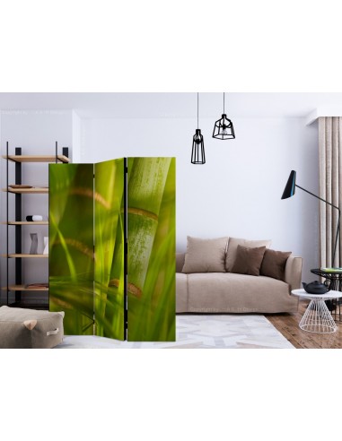 PARAVENT BAMBOU / 3 - 5