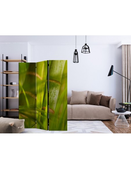 PARAVENT BAMBOU / 3 - 5