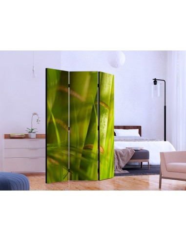 PARAVENT BAMBOU / 3 - 5