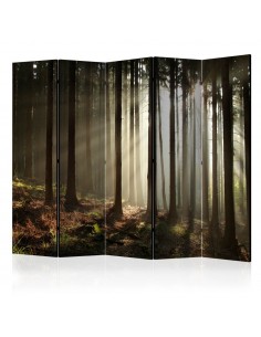 PARAVENT FORÊT DE CONIFÈRES / 3 - 5 2