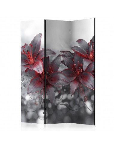 PARAVENT ORCHIDÉE BLACK AND RED / 3 - 5