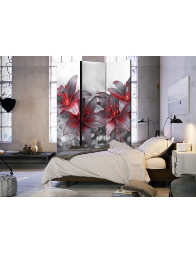 PARAVENT ORCHIDÉE BLACK AND RED / 3 - 5