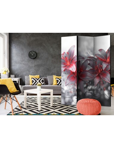 PARAVENT ORCHIDÉE BLACK AND RED / 3 - 5