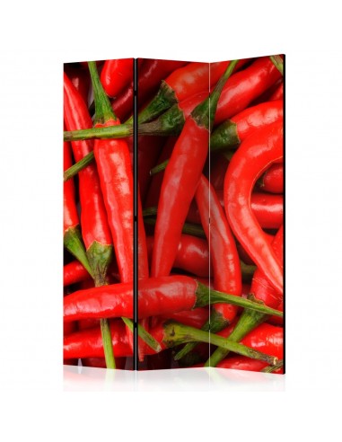 PARAVENT PIMENT ROUGE / 3 - 5