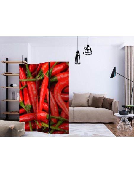 PARAVENT PIMENT ROUGE / 3 - 5