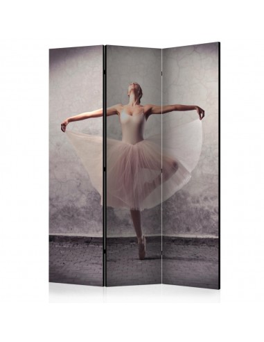 PARAVENT DANSEUSE ÉTOILE / 3 - 5