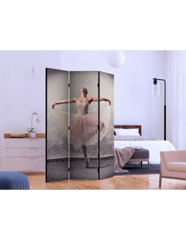 PARAVENT DANSEUSE ÉTOILE / 3 - 5