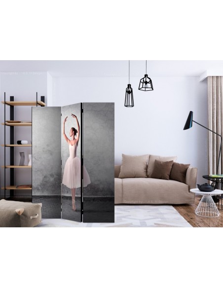 PARAVENT DANSE CLASSIQUE / 3 - 5