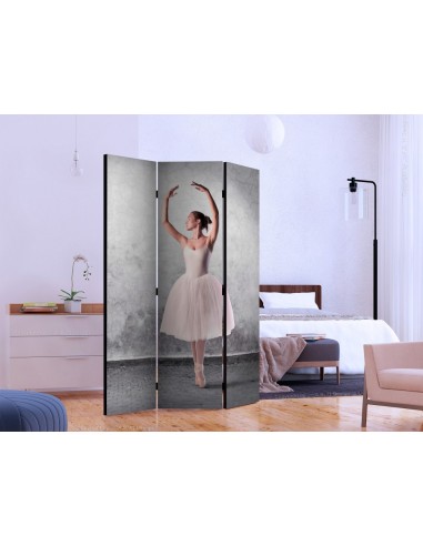 PARAVENT DANSE CLASSIQUE / 3 - 5