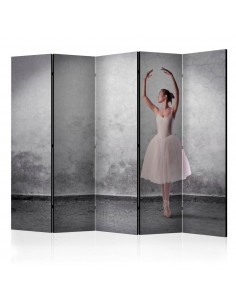 PARAVENT DANSE CLASSIQUE / 3 - 5 2