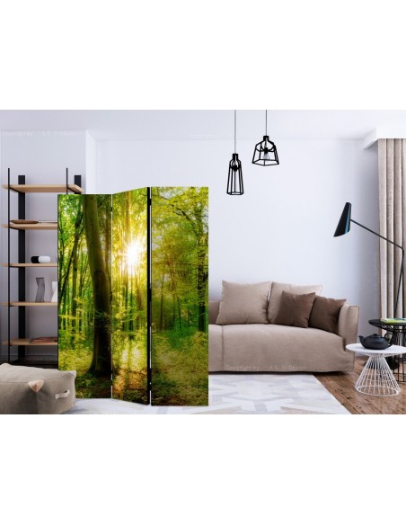 PARAVENT BELLE NATURE / 3 - 5
