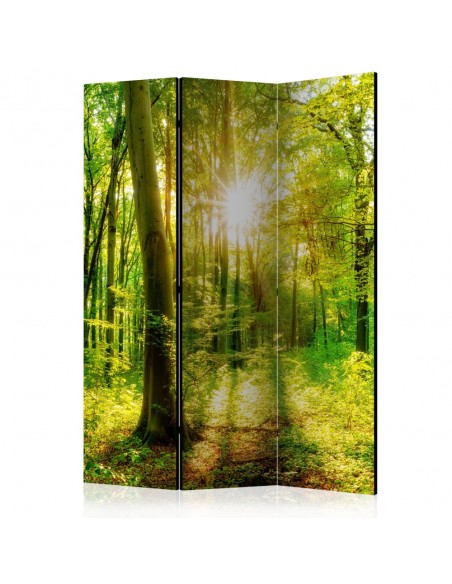 PARAVENT BELLE NATURE / 3 - 5