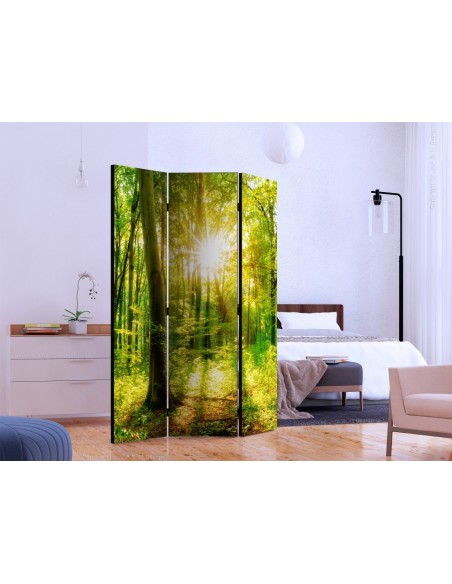 PARAVENT BELLE NATURE / 3 - 5