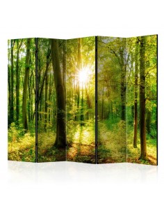 PARAVENT BELLE NATURE / 3 - 5 2