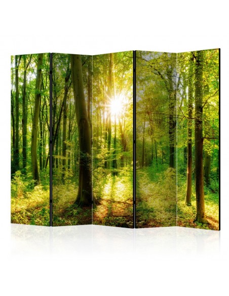 PARAVENT BELLE NATURE / 3 - 5