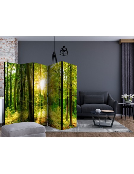 PARAVENT BELLE NATURE / 3 - 5