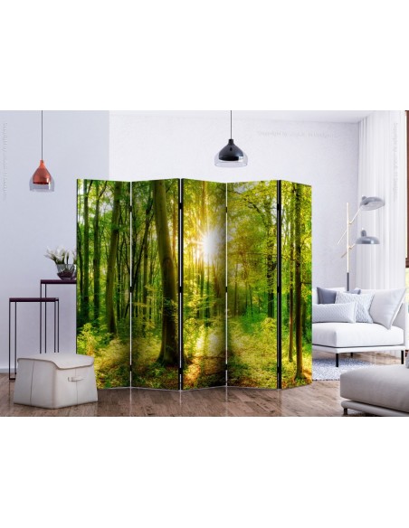 PARAVENT BELLE NATURE / 3 - 5