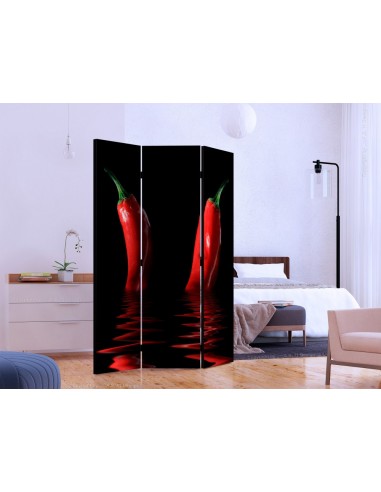 PARAVENT PIMENT / 3 - 5