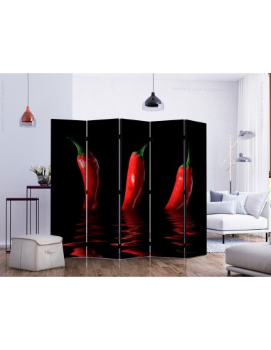 PARAVENT PIMENT / 3 - 5