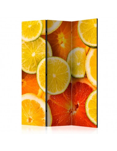 PARAVENT CITRON EN TRANCHES / 3 - 5