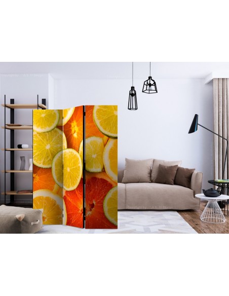 PARAVENT CITRON EN TRANCHES / 3 - 5
