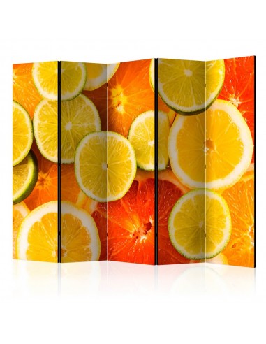 PARAVENT CITRON EN TRANCHES / 3 - 5