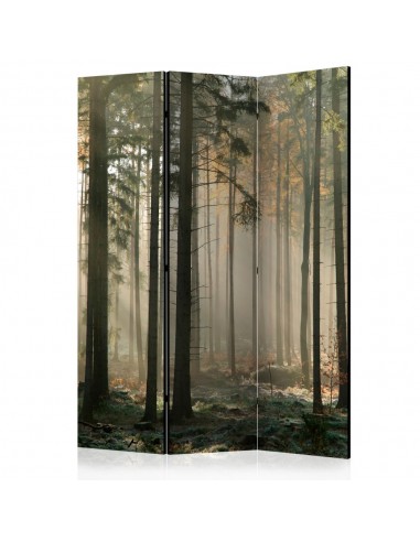PARAVENT BRUME EN FORET / 3 - 5