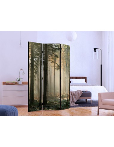 PARAVENT BRUME EN FORET / 3 - 5